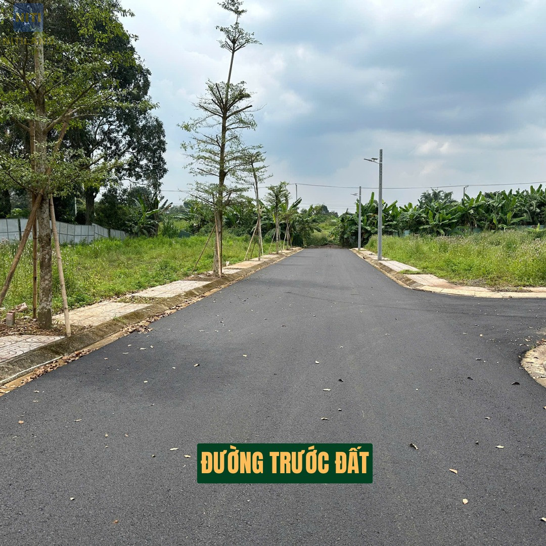 Hạ tầng đường nhựa hoàn thiện vỉa hè cây xanh tại khu đất gần sân bay Long Thành