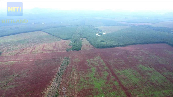 Đồng Nai đấu giá đất 2026 toàn cảnh