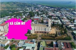 Đất nền Cẩm Mỹ Đồng Nai vùng trũng giá rẻ