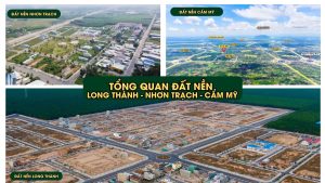 đất nền Long Thành Nhơn Trạch Cẩm Mỹ 2026 tổng quan thị trường
