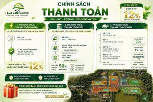 Chính sách thanh toán tại KDC Làng Xanh An Phú tổng quan 3 phương thức